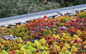 the cost of Johnston green roof installation