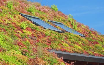 Johnston living roof systems
